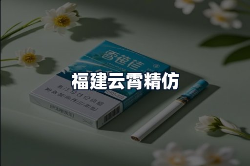 福建云霄精仿